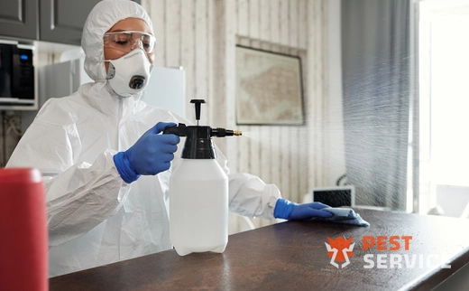 Дезинфекция в Брянске