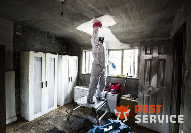 Профессиональная уборка помещений после пожара в Брянске от 2500 руб: удаление сажи, копоти и запаха гари, глубокая очистка поверхностей и восстановление чистоты. Быстро, безопасно и эффективно.