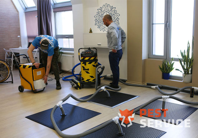 Профессиональная сушка после потопа в Брянске от 3000 руб. Быстро устраняем влагу, предотвращаем плесень и повреждения. Современное оборудование и опытные специалисты. Безопасно и эффективно.